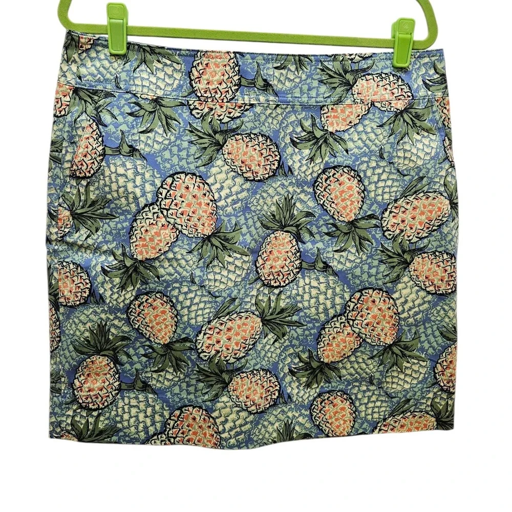 Talbots Petites Pineapple Print Skirt - Blue, Pink,‎ Green - Size 14P